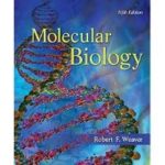 book-6-7.jpg