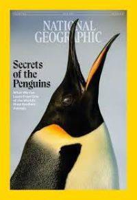 magazine-2.jpg